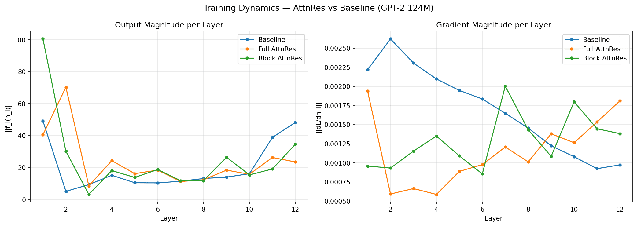 Training Dynamics